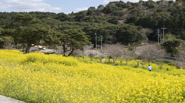 柳山アグリランドのイメージ