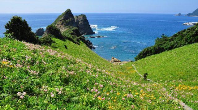 鳥ノ巣山展望所のイメージ