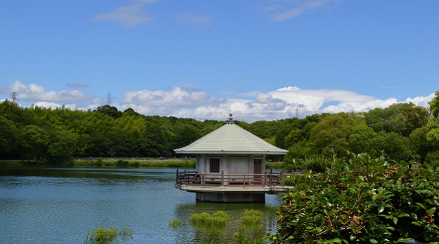 山田池公園のイメージ
