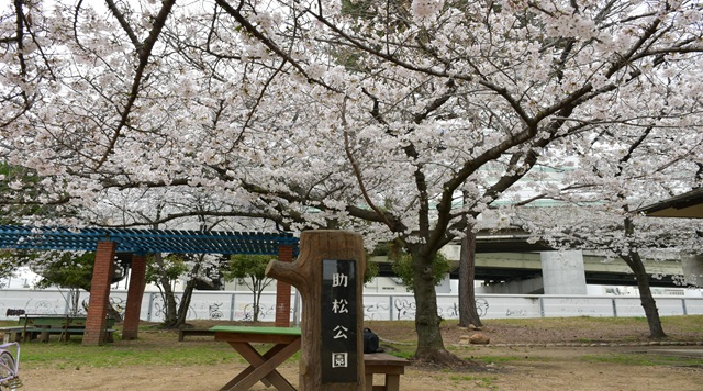 助松公園のイメージ