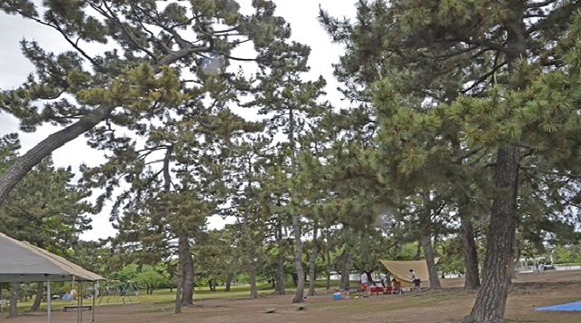 浜寺公園のイメージ