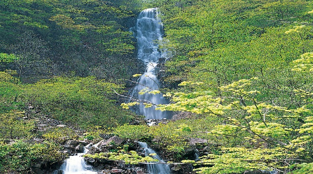 〈滝〉三階滝(宮城県蔵王町)のイメージ