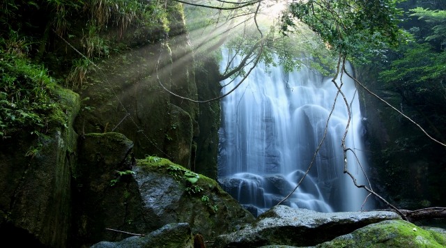 〈滝〉桑ノ木の滝(和歌山県新宮市)のイメージ