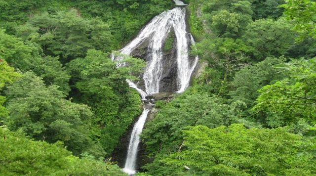 〈滝〉七ツ滝(山形県鶴岡市)のイメージ