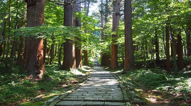 〈森〉羽黒山参道の杉並木(山形県鶴岡市)のイメージ