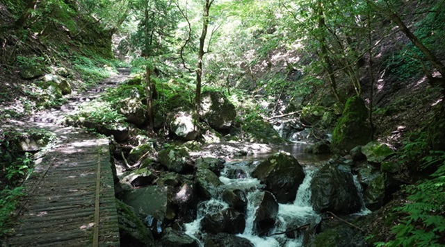 〈森〉天滝渓谷(兵庫県養父市)のイメージ