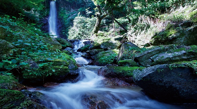 〈滝〉養老の滝(岐阜県養老町)のイメージ