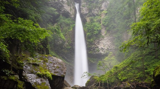 〈滝〉根尾の滝(岐阜県下呂市)のイメージ