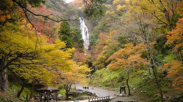 〈滝〉神庭の滝(岡山県真庭市)のイメージ