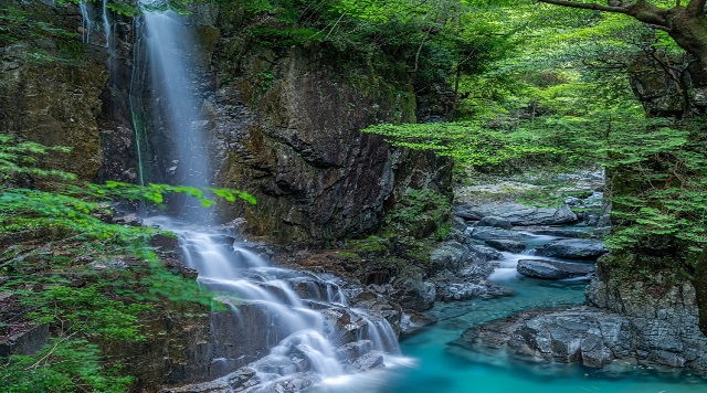 〈森〉付知峡（岐阜県中津川市）のイメージ