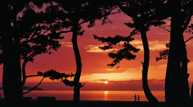 〈渚〉慶野松原（兵庫県南あわじ市）のイメージ