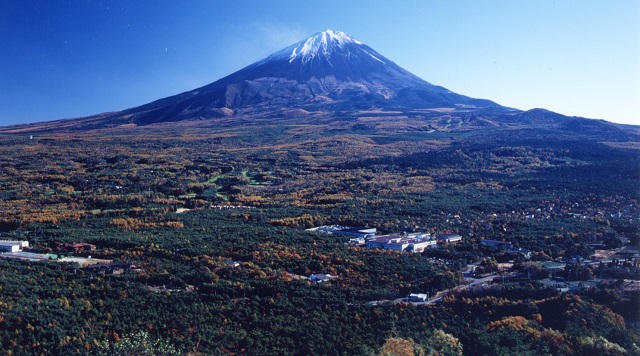 〈森〉青木ヶ原樹海（山梨県富士河口湖町）のイメージ