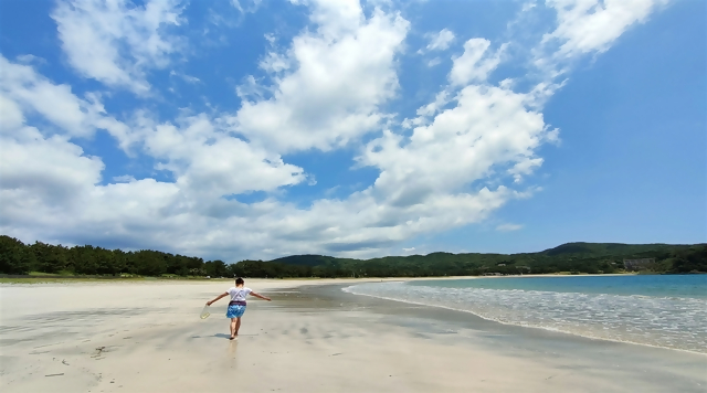 〈渚〉弓ヶ浜海岸（静岡県南伊豆町）のイメージ
