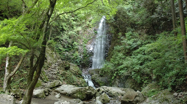 〈滝〉払沢の滝（東京都檜原村）のイメージ