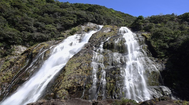 〈滝〉大川の滝（鹿児島県屋久島町）のイメージ