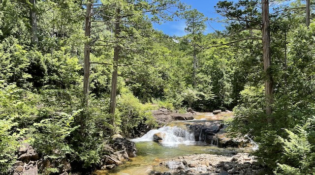 〈森〉赤沢自然休養林（長野県上松町）のイメージ