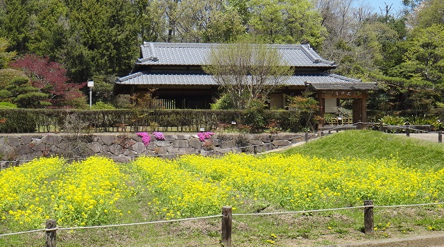 錦織公園のイメージ