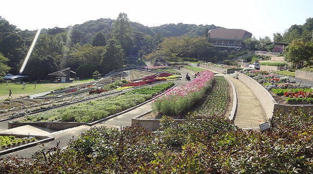 和歌山県植物公園 緑花センターのイメージ