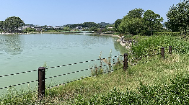 平池緑地公園のイメージ