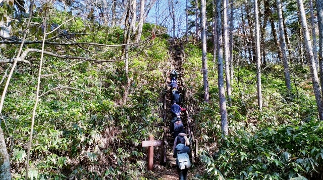 平湯探勝路のイメージ