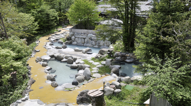 ひらゆの森のイメージ