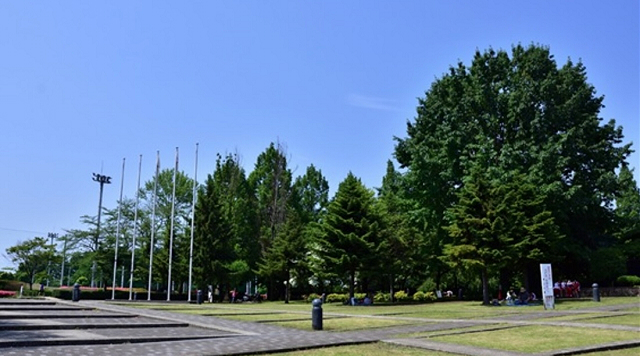 横山公園のイメージ