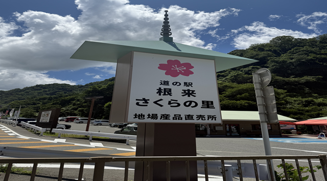 道の駅 根来さくらの里のイメージ