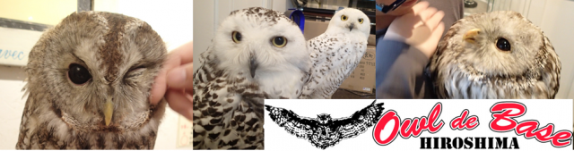 Owl de Base HIROSHIMAのイメージ