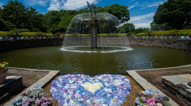 国営昭和記念公園 カナールの噴水のイメージ