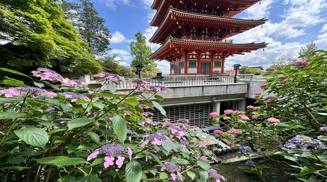 高幡不動尊金剛寺のイメージ
