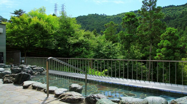 秋川渓谷 瀬音の湯のイメージ