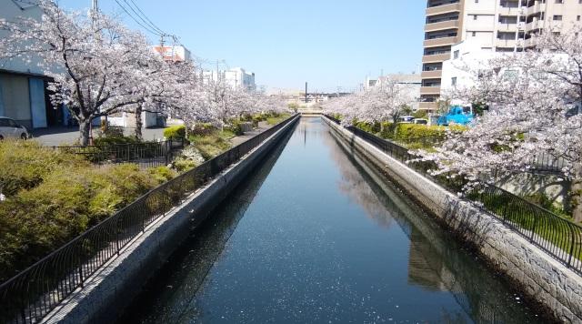 神明橋付近のイメージ