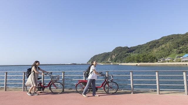 大島渡船ターミナルのイメージ