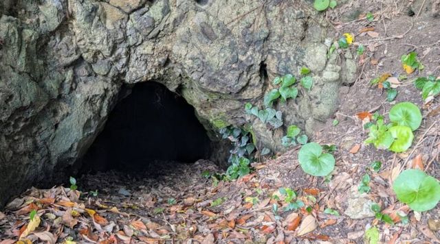 佐潟の洞窟のイメージ