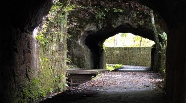 曽木の滝周辺散策のイメージ