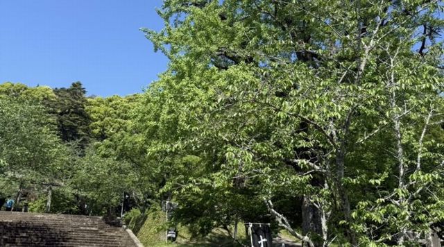 精矛神社のイメージ