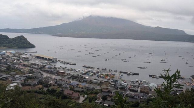 にこ展望所のイメージ