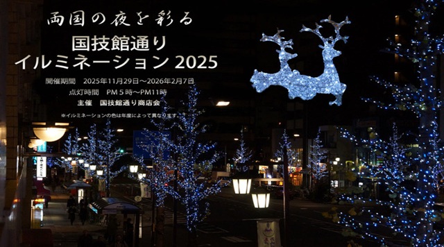 国技館通りイルミネーションのイメージ