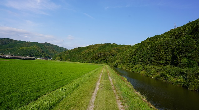 三間川沿いのイメージ