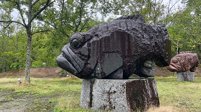 中山池自然公園のイメージ