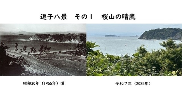 逗子八景その１　桜山の晴嵐　蘆花記念公園　旧逗子市郷土資料館のイメージ