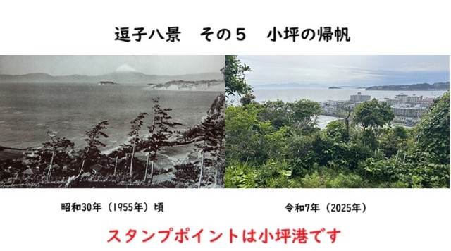 逗子八景その５　小坪の帰帆　小坪漁港のイメージ