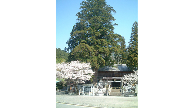 佐久良太神社のイメージ