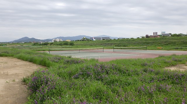 大和川河川敷公園のイメージ