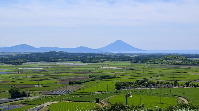 茶ばっけん丘のイメージ