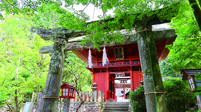 六殿神社楼門 (Rokuden Shrine Gate)のイメージ