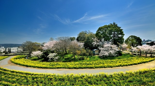 津堂城山古墳のイメージ