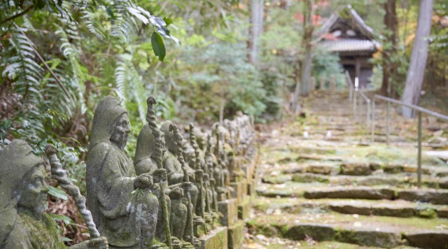 元山上千光寺のイメージ