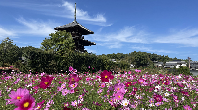 法起寺のイメージ