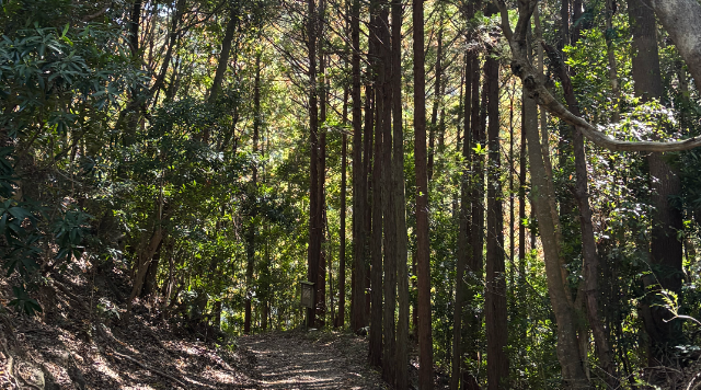 【熊野古道大辺路エリア(C)】熊野古道 富田坂、仏坂コースのイメージ